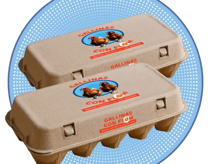 2 docenas huevos ecológicos comprar