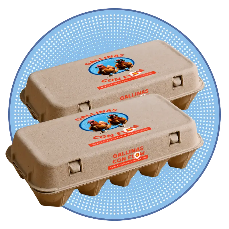 2 docenas huevos ecológicos comprar