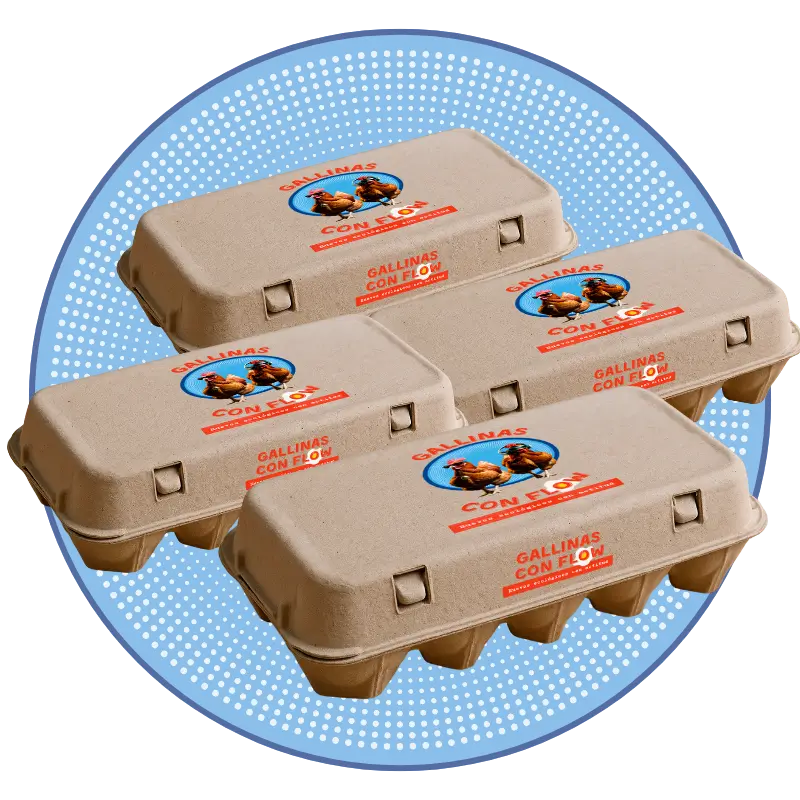 4 docenas huevos ecológicos