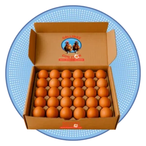 cartón huevos ecológicos pack