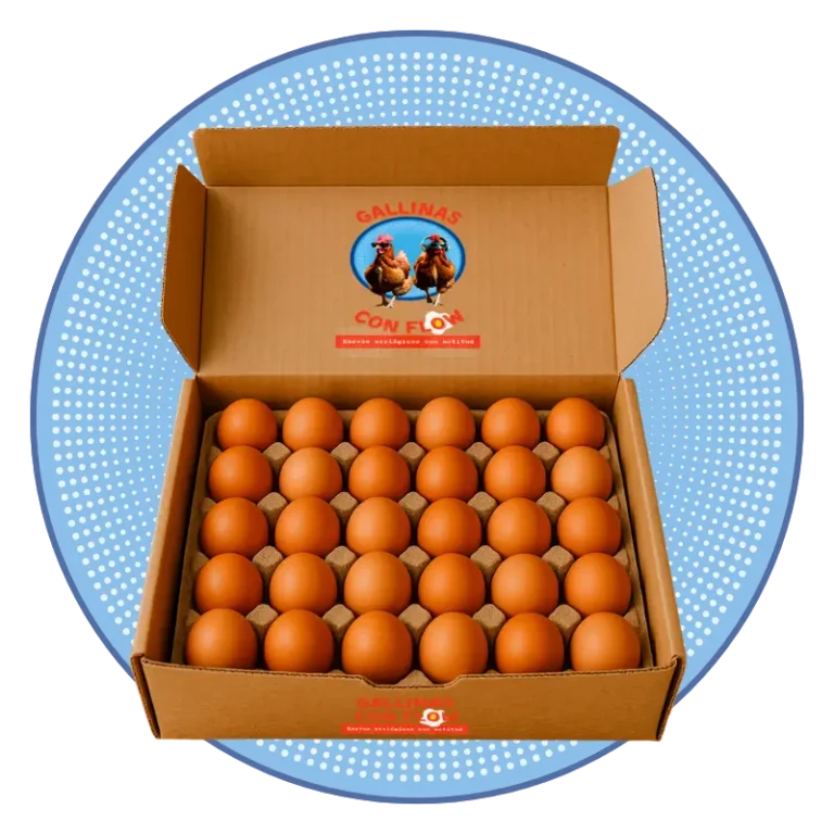 cartón huevos ecológicos pack