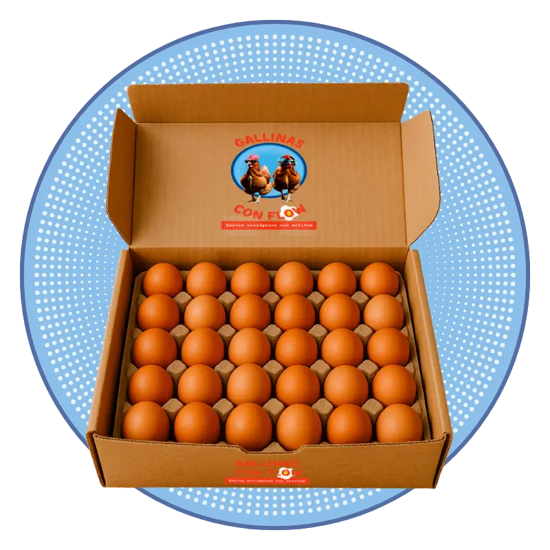 cartón huevos ecológicos pack