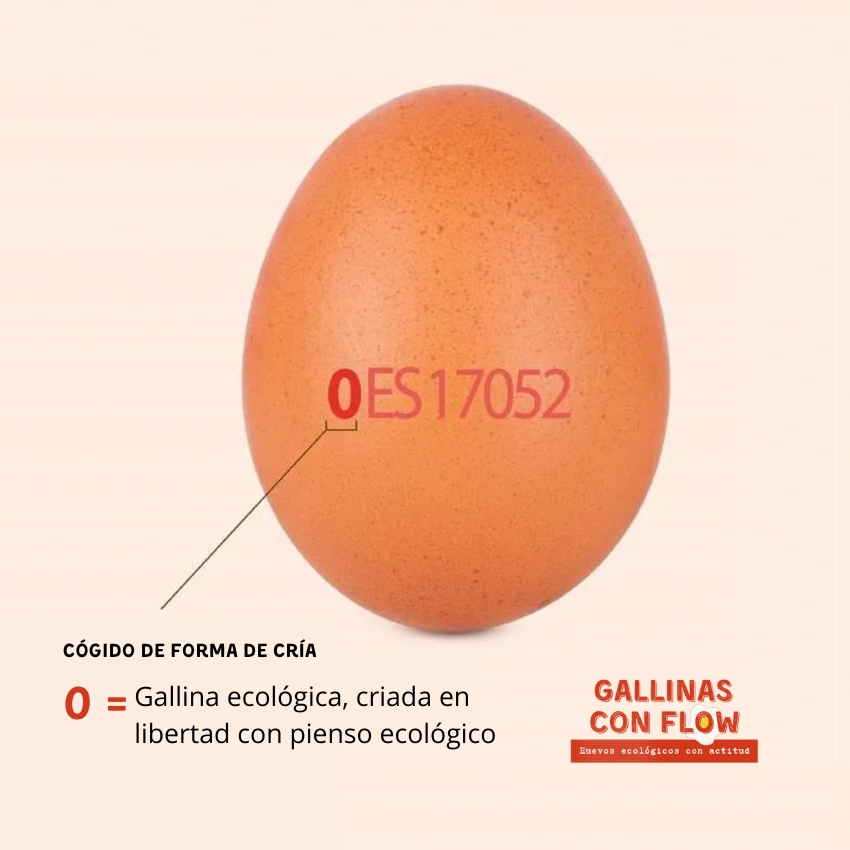 El 0 es el codigo que permite indicar que el huevo es ecologico