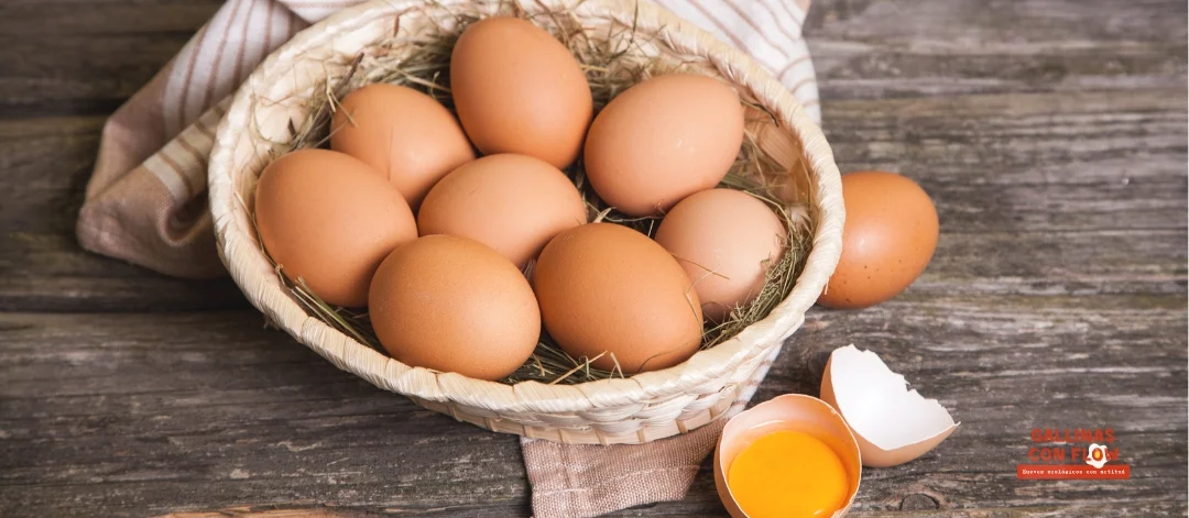cómo identificar huevo ecológico