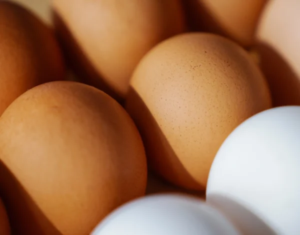 huevos blancos vs huevos marrones ¿cuál es mejor?