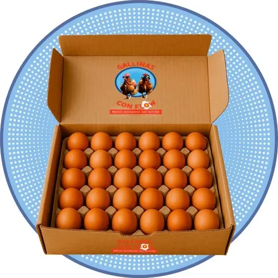 pack 30 huevos ecológicos negocio