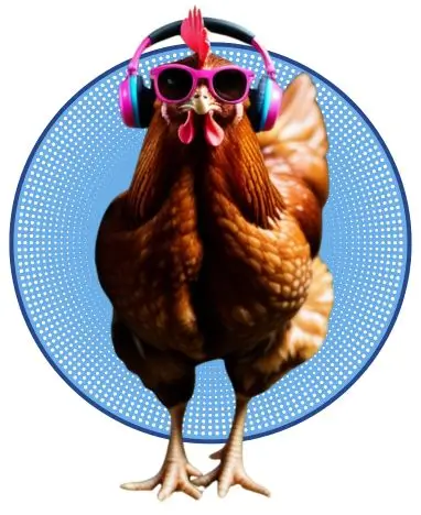 00-Huevos ecológicos gallinas con flow