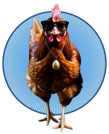 02-Huevos ecológicos gallinas con flow