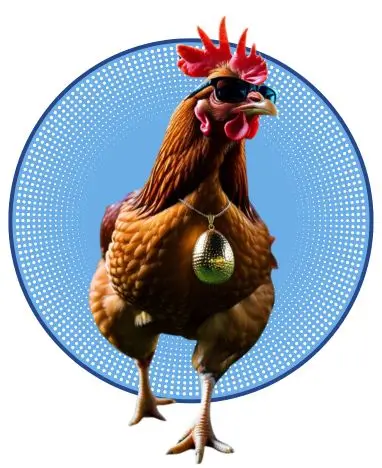 03-Huevos ecológicos gallinas con flow