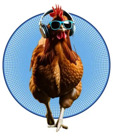 05-Huevos ecológicos gallinas con flow