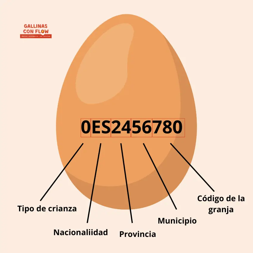 infografía sobre el significado de la etiqueta o codigo de los huevos